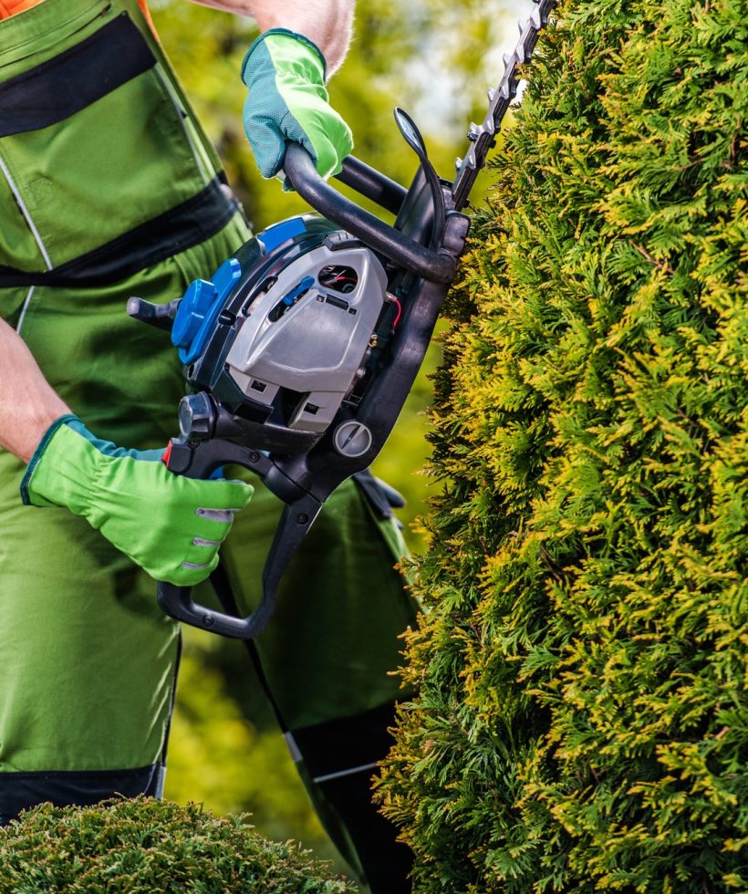 gardener-topiary-job.jpg